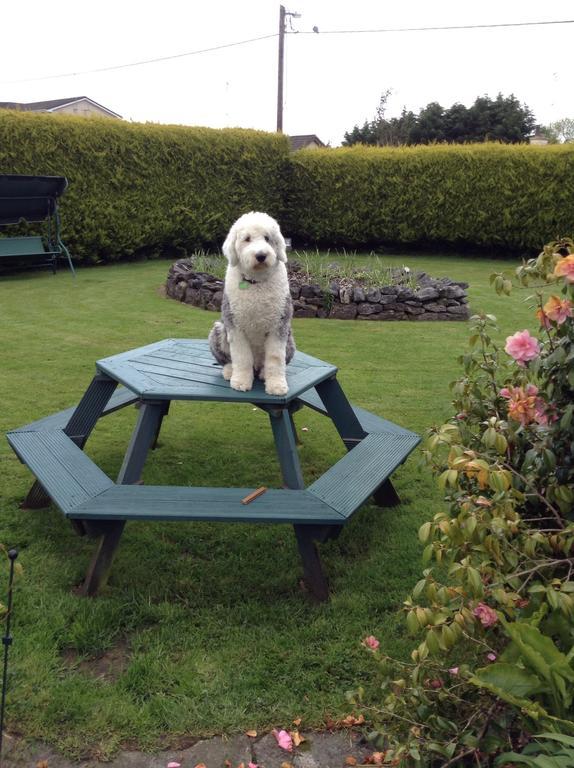 Riverwalk House B&B Oughterard Quarto foto