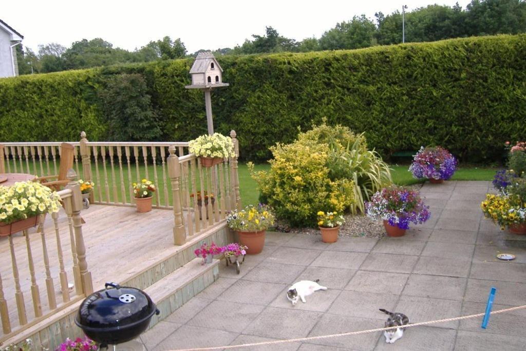 Riverwalk House B&B Oughterard Exterior foto