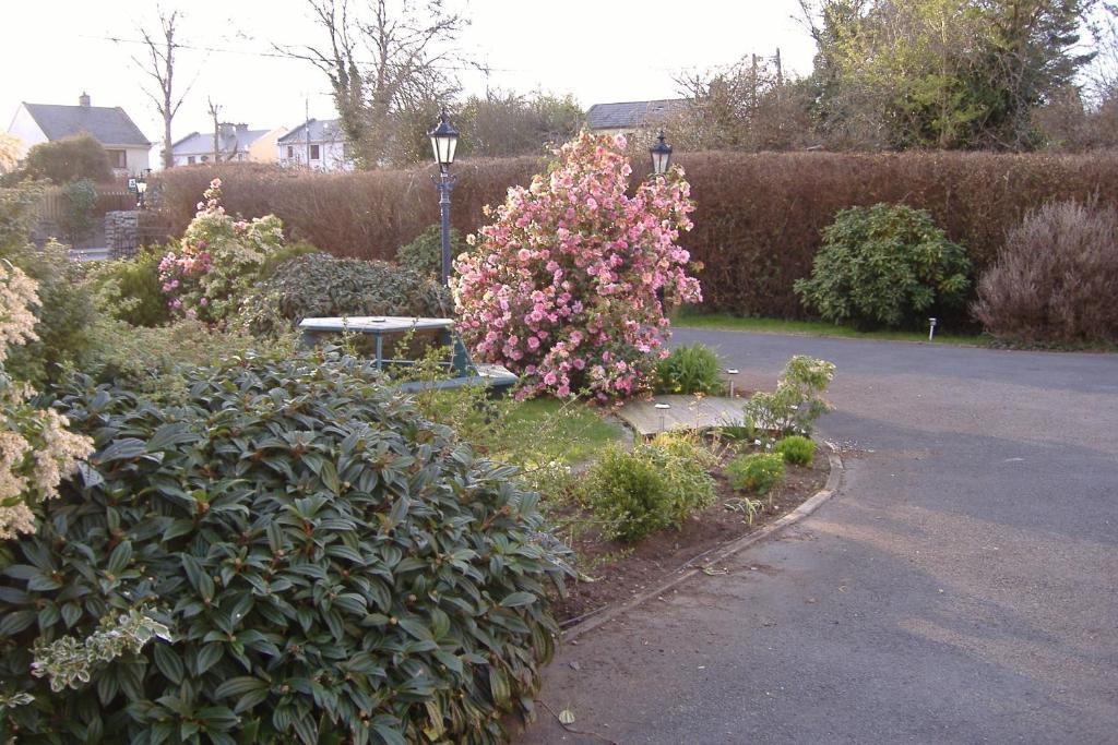 Riverwalk House B&B Oughterard Exterior foto